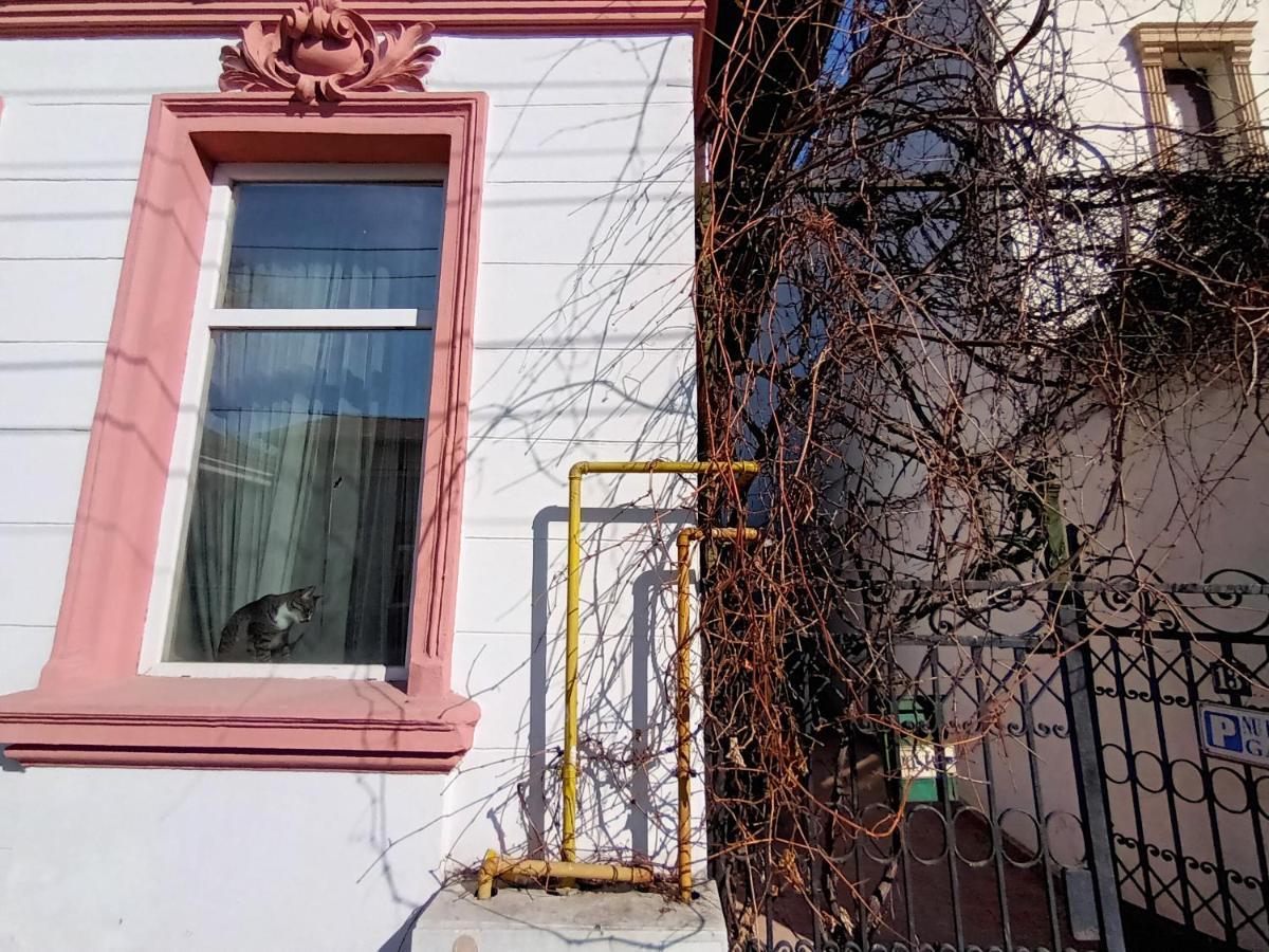 Casa Liveni Appartement Boekarest Buitenkant foto